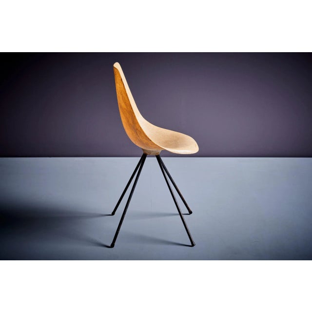 French Fiberglass Chair by Jean-René Picard for S.E.T.A, 1950s For Sale - Image 6 of 13