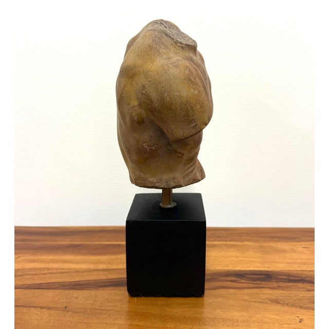 Vintage Hand-Carved Stone Male Torso Sculpture Signed Alva, 1991 For Sale - Image 4 of 8