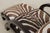 Art Deco Modern Style Zebra Print Chair & Ottoman For Sale - Image 15 of 18