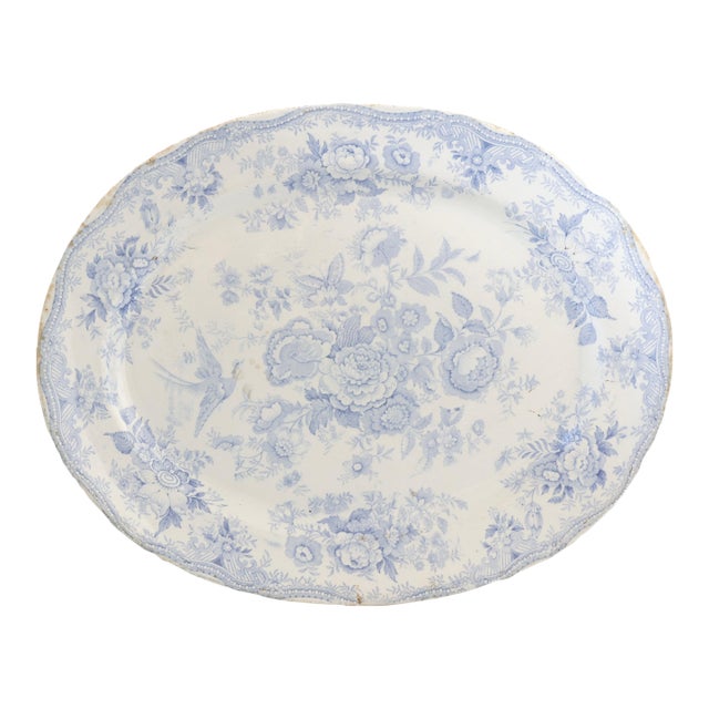 Large Antique English Asiatic Pheasant Platter For Sale