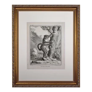 18th Century Original French Monkey Engraving by Buffon 1789