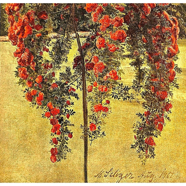 1902 French Botanical Chromolithograph-Roses For Sale - Image 4 of 4