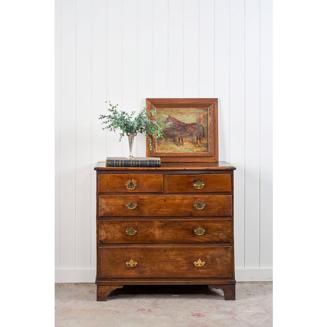 This oak two-over-three chest features warm, medium-toned wood and chippendale brass pulls for all five spacious drawers....