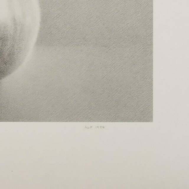 1990s Martha Alf "Apple" Still Life Lithograph Print Limited Signed (235/250) For Sale - Image 5 of 5