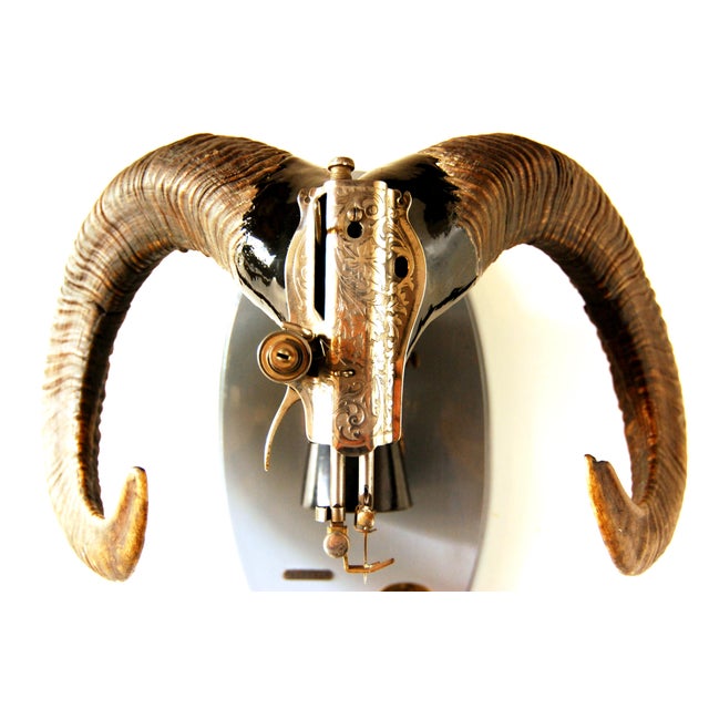 Rudolph the 10th From Chimera Watts For Sale - Image 4 of 5