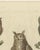 European Owls, 1800, Print on Paper For Sale - Image 10 of 12