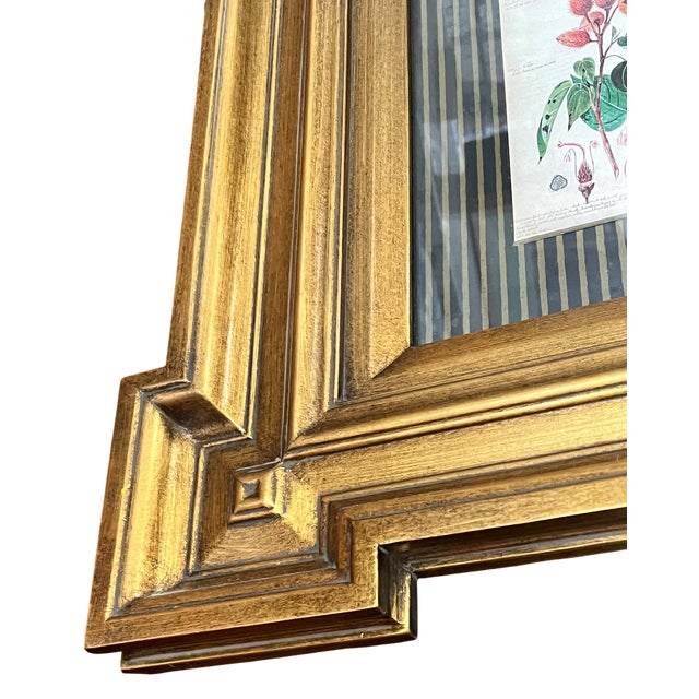 Paragon Botanical & Fruit Prints in Monumental Architectural Giltwood Frames, Pair For Sale - Image 11 of 16