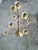 1920s 1920s Art Noveau Solid Brass Multi Tiered Candelabra W/ 9 Holders For Sale - Image 5 of 6