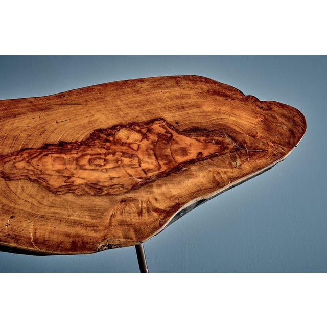 Tree Trunk Coffee Table by Werkstätte Carl Auböck, Austria, 1950s For Sale - Image 9 of 12