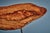 Tree Trunk Coffee Table by Werkstätte Carl Auböck, Austria, 1950s For Sale - Image 9 of 12