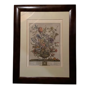 Robert Furber Hand Colored Etching