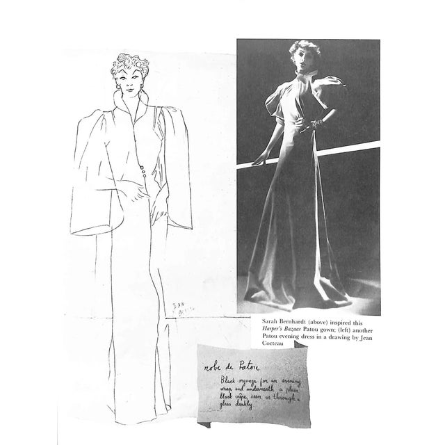 White "Patou" 1983 Etherington-Smith, Meredith For Sale - Image 8 of 9