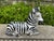 1960s Italian Glazed Terracotta Zebra Sculpture For Sale - Image 4 of 11