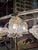 Art Deco Murano and Brass Navetta Chandelier from Barovier, 1930s, in Very Good conditions. Designed 1920 to 1949 This...