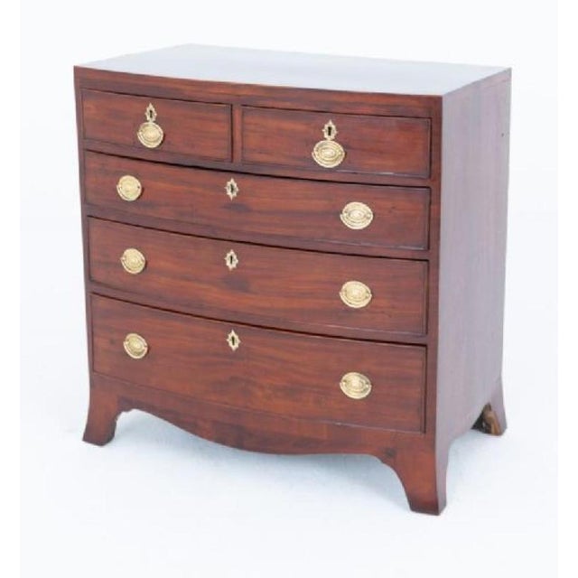 Regency Chest of Drawers in Mahogany with Bow Front, 1810 For Sale - Image 4 of 6