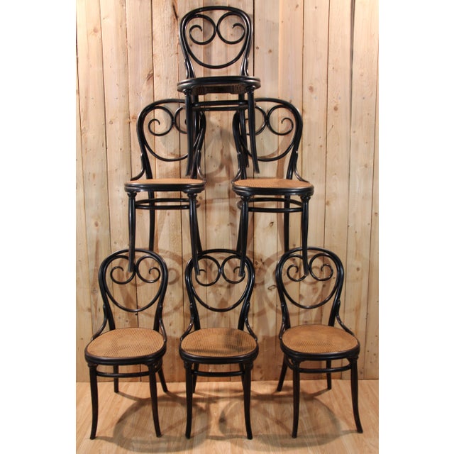 Vintage Chairs by Michael Thonet for Gebrüder Thonet, 1880, Set of 6 For Sale - Image 13 of 13