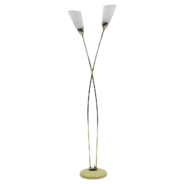 Vintage Czechoslovak Floor Lamp from Kamenický Šenov, 1950s For Sale