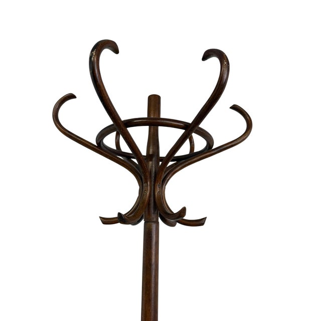 Early 20th Century Antique Handcrafted Bentwood Coat Rack and Hat Stand by Michael Thonet, 1900 For Sale - Image 5 of 10
