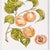 This set of four citrus studies offers a look at the beauty of an artist, s frequent subject. This highly detailed set...