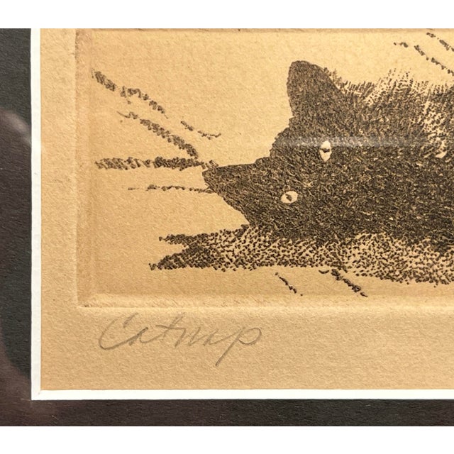 1970s Richard Volpe Catnap Limited Edition Intaglio Etching 50/180 Signed Framed For Sale - Image 4 of 9