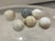 Collection of Six Petite Scale Antique Marble River Balls / Stone Spheres For Sale - Image 4 of 10