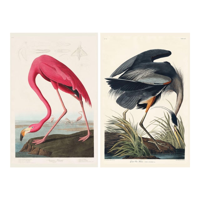 American Flamingo & Great Blue Heron Diptych, Audubon Birds of America Art Prints, 40" X 60" For Sale