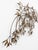 1982 Signed Curtis Jere Brass “Blowing Bamboo Leaves” Wall Sculpture - FREE SHIPPING An exceptional original signed Curtis...