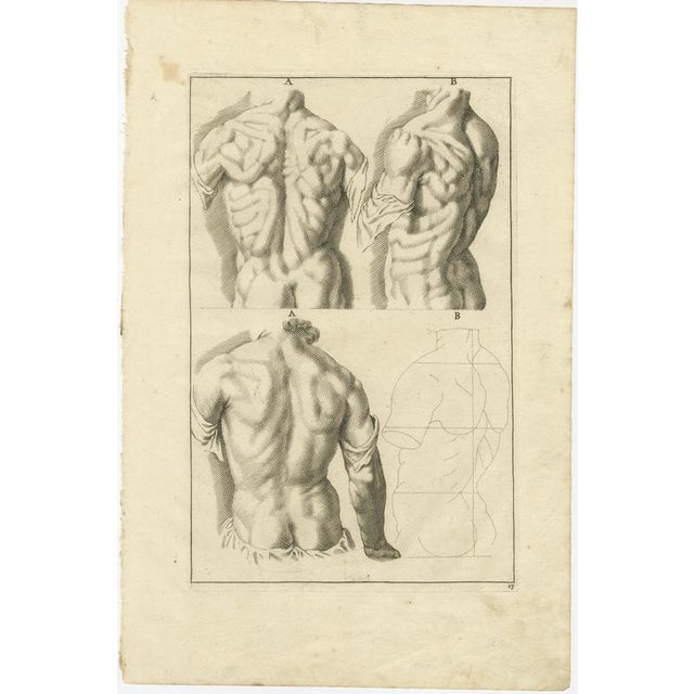 18th Century Anatomical Back Studies Academic Figure Engraving after de Lairesse c1745 This refined academic engraving...