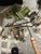 Singer 221 Featherweight Sewing Machine- Mint For Sale - Image 10 of 17