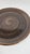 Ceramic Steelite Performance Craft Coupe Plates in Porcini Set of 2 11.75” For Sale - Image 7 of 11