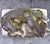 Stone Cast Stone Dog Garden Ornament Statue With Moss Patina Mid 20th Century For Sale - Image 7 of 15