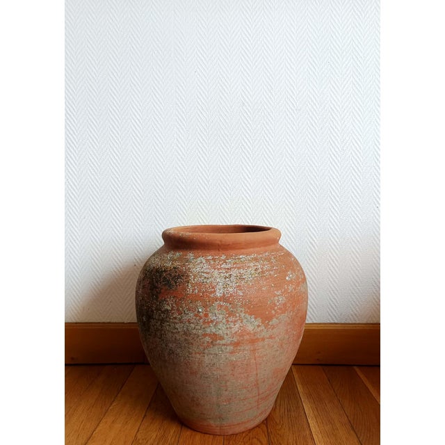 Terracotta Garden Jar, 1950s For Sale - Image 10 of 10