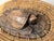1970s Vintage Indonesian Lombok Woven Rattan Lidded Basket With Wood Carved Turtle For Sale - Image 5 of 18