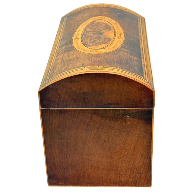 18th Century George III Harewood and Black Thorn Tea Caddy, 1790 For Sale - Image 3 of 9