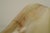 Mid-Century Modern Bowl in Onyx Natural Stone, 1970s For Sale - Image 6 of 11