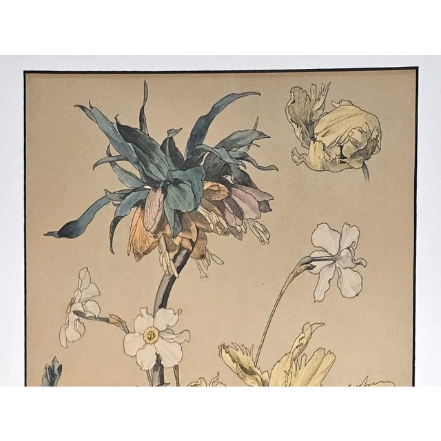 French Large C1880 French Antique Botanical Chromolithograph-Tulip, Daffodils by H Lambert, Signed, Matted For Sale - Image 3 of 4