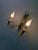 Double Wall Lamp attributed to E. R. Nele for Temde, 1960s For Sale - Image 4 of 18