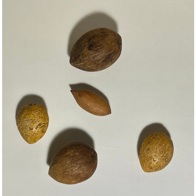 Antique early 20th century Italian Grand Tour tromp l'oeil carved marble / stone nuts - almonds & pecans. The smaller nut...