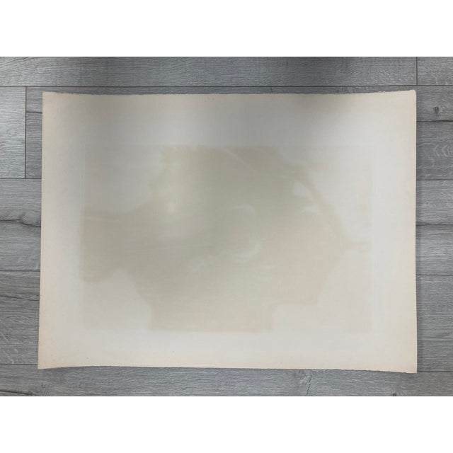 Jean Peschard, Fish in Love, Etching, 1961 For Sale - Image 6 of 16