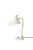 Bloom warm white table lamp by warm nordic dimensions: d20 x w29 x h42 cm material: lacquered steel, brass weight: 2 kg a...
