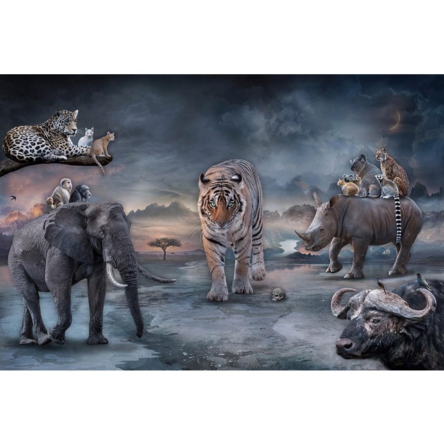 Protectors of the Wild Hearts by Marcin Owczarek | Photography of various wild animals in a landscape For Sale