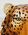 Wall Mask Leopard in Ceramic from Ceramiche Boxer For Sale - Image 4 of 7