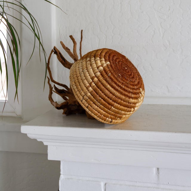 Native American Style Pine Needle and Natural Fiber Coil Basket or Bowl For Sale - Image 9 of 17