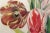 English English Botanical Watercolor of Seven Tulips, Flamed and Feathered Florists' Varieties For Sale - Image 3 of 6