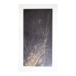 John Seerey-Lester “Dark Encounter” Limited Edition Signed & Numbered Print 2761/3500 Coa