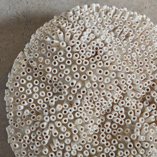 Round Form by Erin Vincent, 2024 For Sale - Image 4 of 8