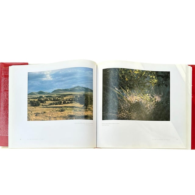 Paper Vintage Large Centennial Hardcover Coffee Table Photography Book Two Eagles; Dos Aguilas: The Natural World of the United States-Mexico Borderlands For Sale - Image 7 of 12