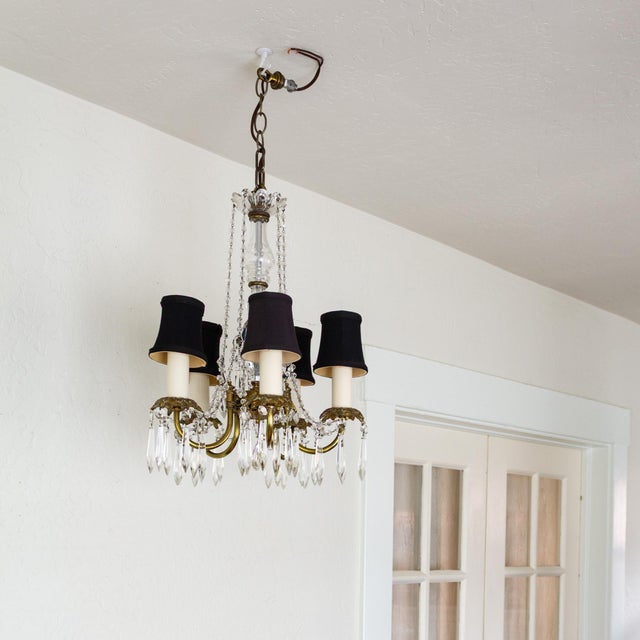 Petite French Louis XV Style Five Arm Crystal Chandelier With Black Lampshades For Sale - Image 15 of 18