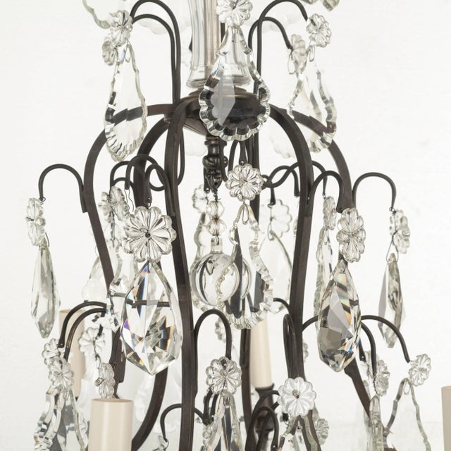 Metal French Louis XV Style Crystal Chandelier For Sale - Image 7 of 13