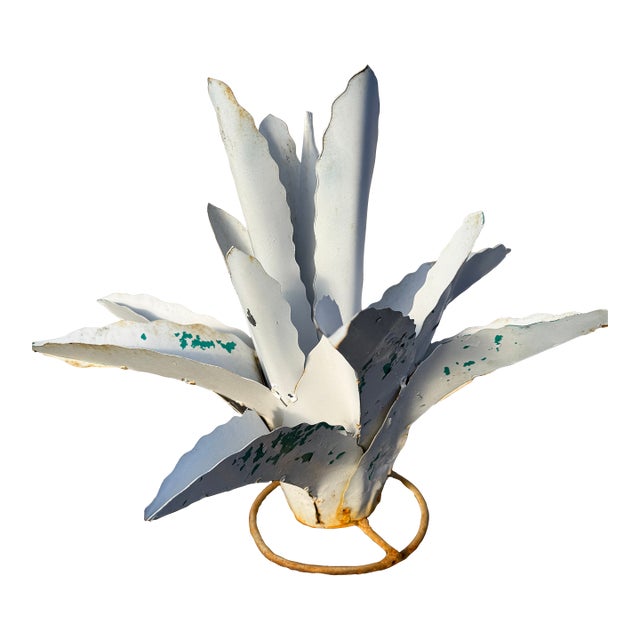 Medium Zinc Agave Plant For Sale